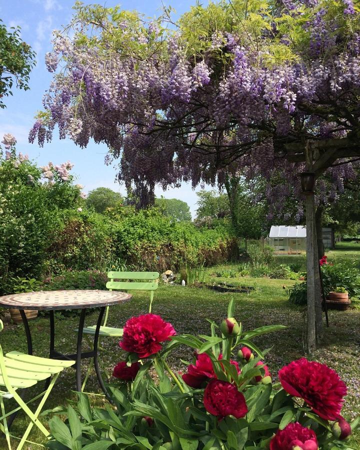 Bed and Breakfast La Pie Grieche Lucquy Екстер'єр фото